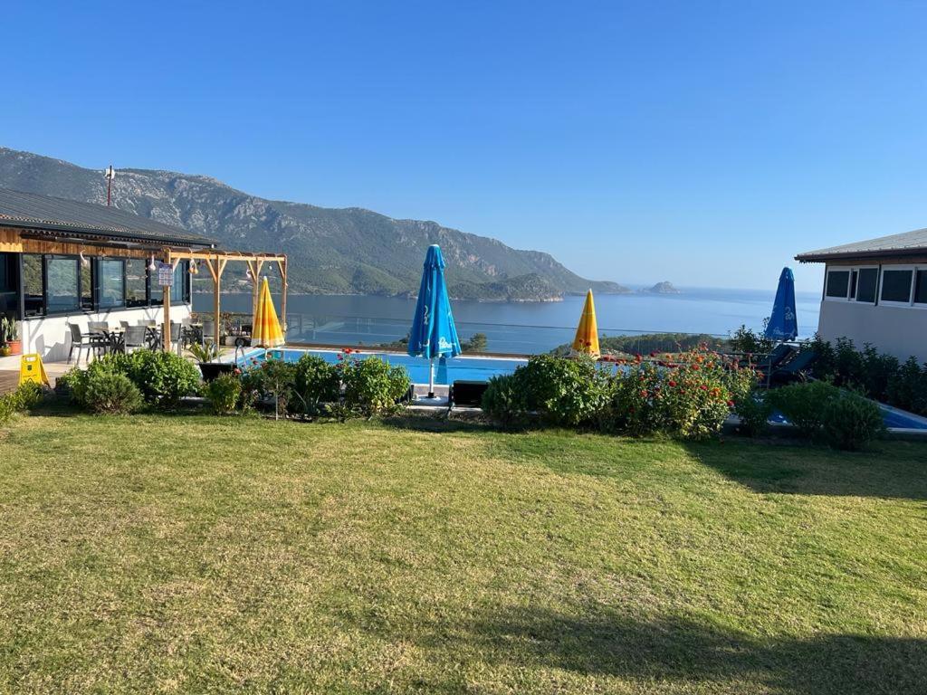 Seyr-i Mavi